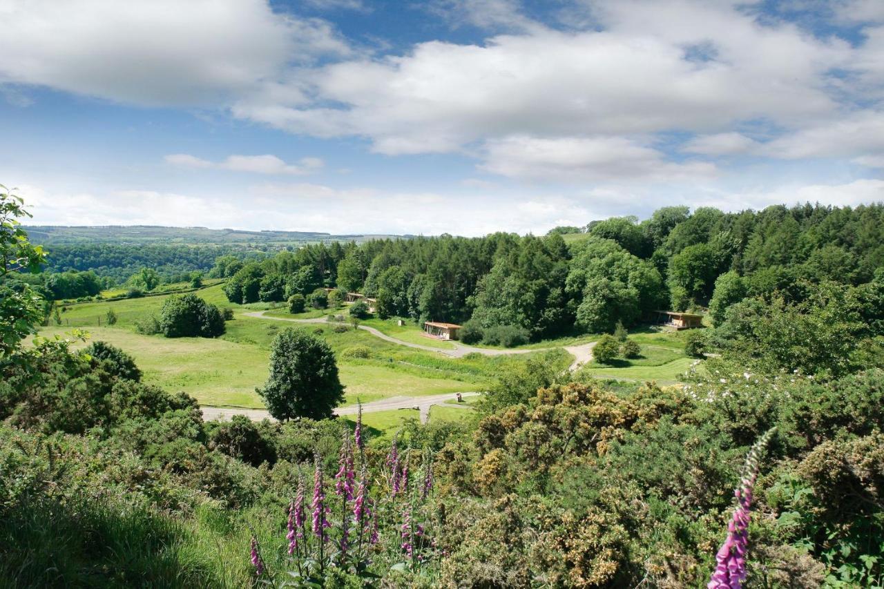 Yorkshire Dales Lodge 10 Ensuite Ричмънд Екстериор снимка
